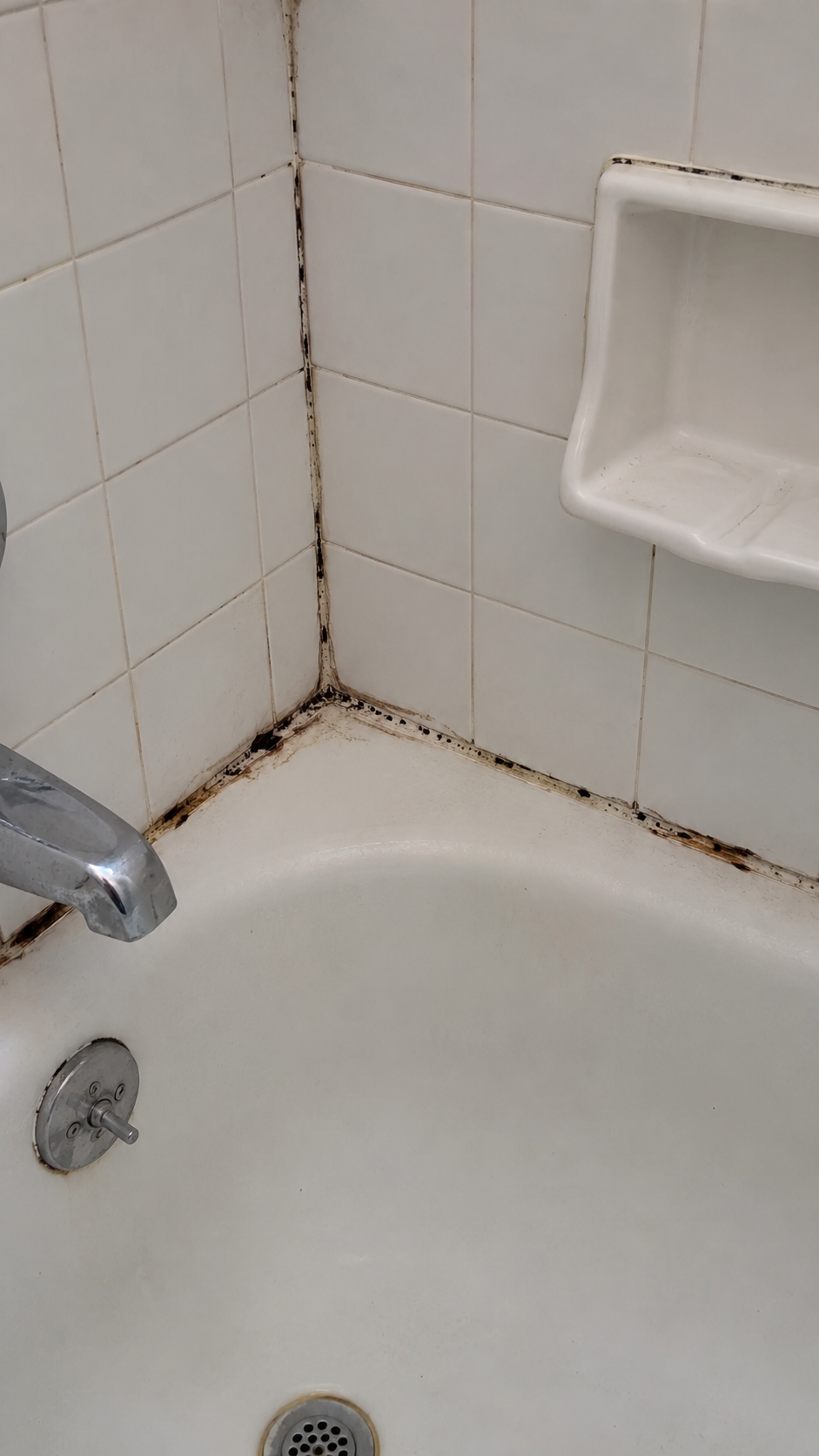 房客说检测出 Aspergillus,房东第一步该做什么?